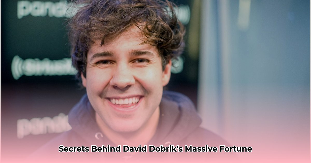 dobrik net worth